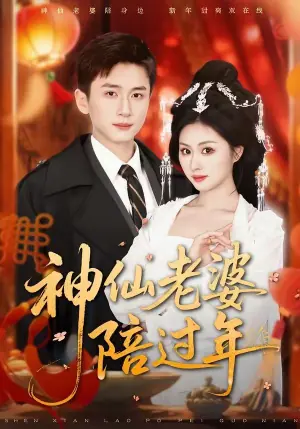 神仙老婆陪过年海报