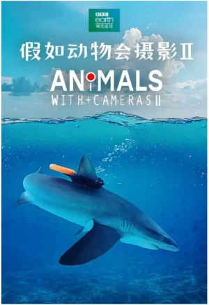 假如动物会摄影第二季海报
