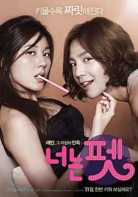 宠物情人너는펫海报