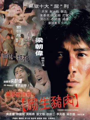 黑狱断肠[影视解说]海报