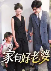 家有好老婆海报