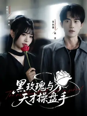 黑玫瑰与天才操盘手海报