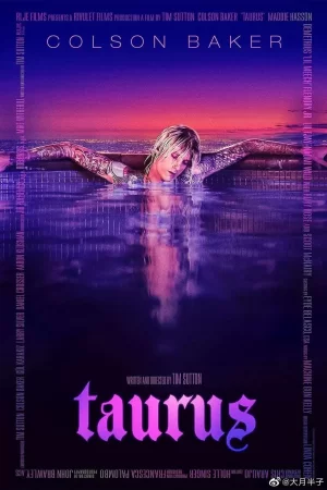 金牛座海报