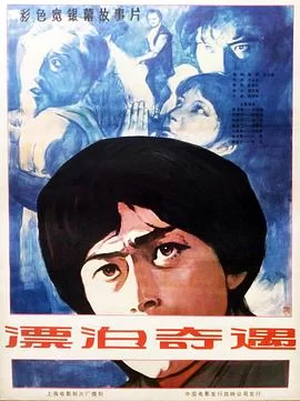漂泊奇遇[电影解说]海报
