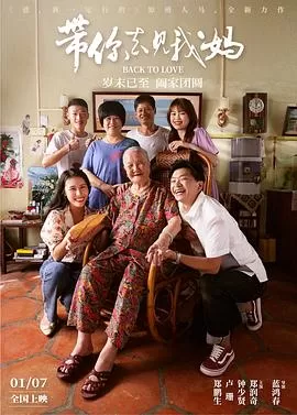 带你去见我妈[电影解说]海报