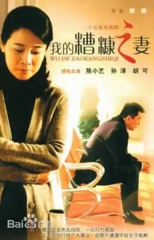 我的糟糠之妻海报