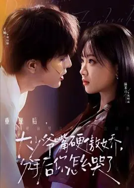 大少爷嘴硬傲娇,分手后你怎么哭了海报