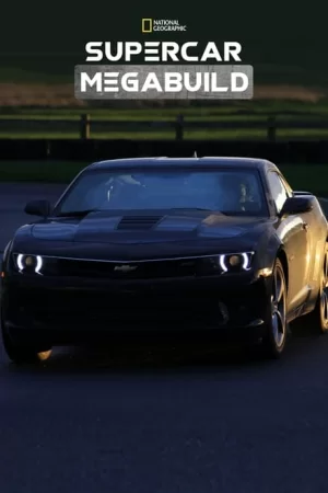 超跑名车大改造第二季海报