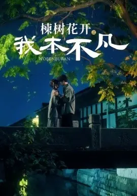 楝树花开之我本不凡海报