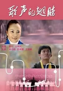 歌声的翅膀海报