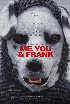 乖狗狗[影视解说]海报