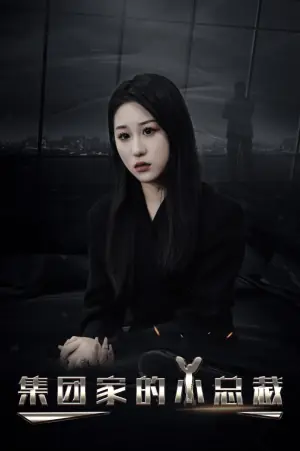集团家的小总裁海报