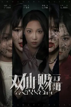 双仙赐福海报
