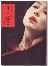 花与蛇2海报
