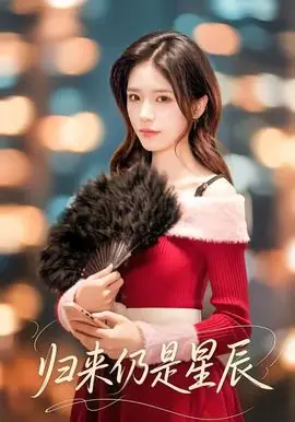 归来仍是星辰海报