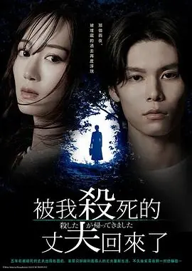 被杀了的丈夫回来了海报