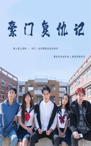 豪门复仇记海报