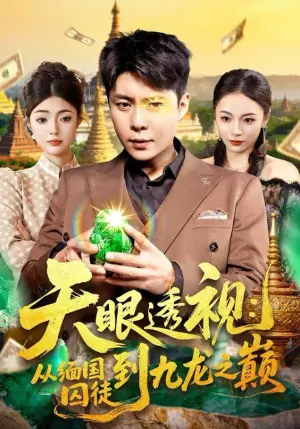 天眼透视:从缅国囚徒到九龙之巅海报
