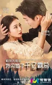 相亲失败后,我闪婚了个千亿霸总海报
