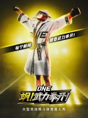 飒!武力拳开会员版海报