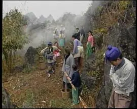 鱼公主红鲤公主海报