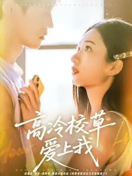 高冷校草爱上我海报
