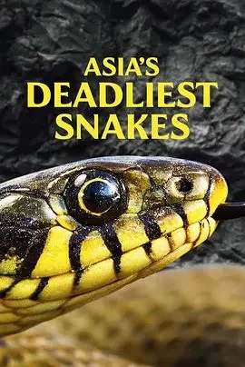 AsiasDeadliestSnakes海报