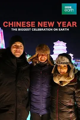 中国新年:全球最大庆典海报