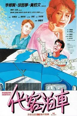 代客泊车(国语)海报