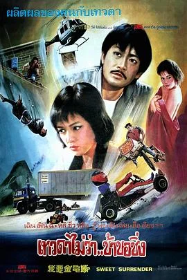 我要金龟婿(国语)海报