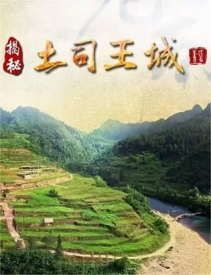 揭秘土司王城海报