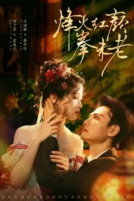 烽火红颜拳未老海报