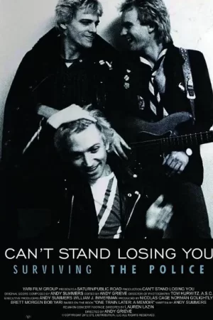 无法忍受失去你海报