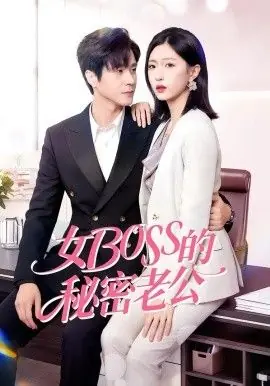 女Boss的秘密老公海报
