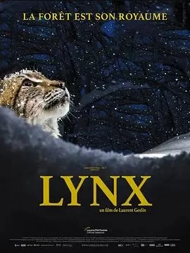 Lynx海报
