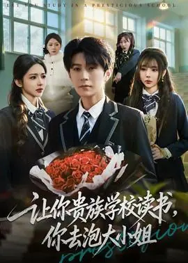 让你贵族学校读书,你去泡大小姐海报