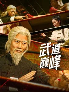 武道巅峰海报