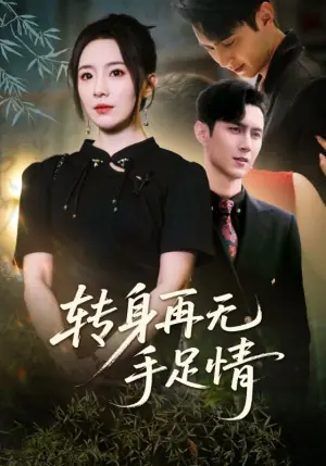 转身再无手足情海报