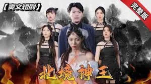 北境神王海报