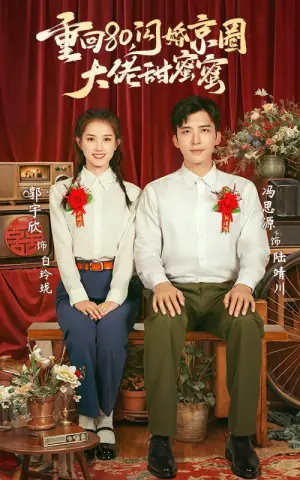 重回80,闪婚京圈大佬甜蜜蜜海报
