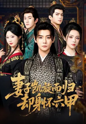 妻子凯旋而归,却身怀六甲海报