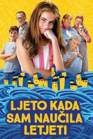 我如何学会飞海报