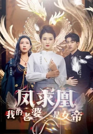 凤求凰我的老婆是女帝海报