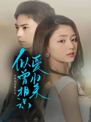 似曾相识爱归来海报