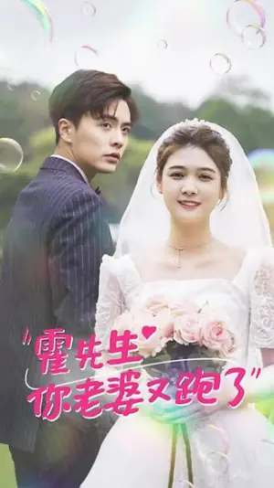 霍先生,你老婆又跑了海报
