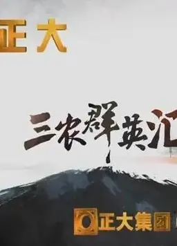三农群英汇2024海报