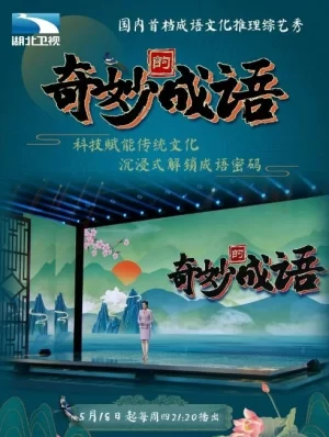 奇妙的成语2023海报