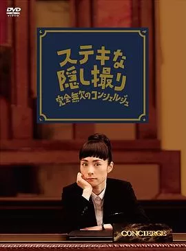 了不起的窃照:完美的接待员海报