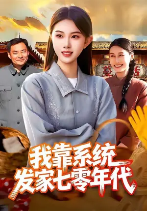 我靠系统发家七零年代海报