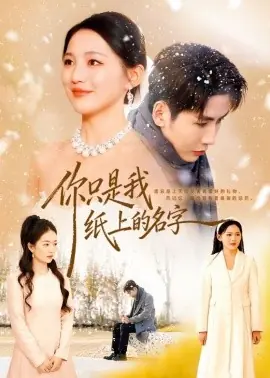 你只是我纸上的名字海报